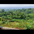 Jual Tanah di dataran tinggi Cijeruk Bogor View Indah Kota Bogor, Sentul dan Gunung Gede