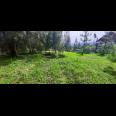 TANAH PADAT RESORT DAGO PAKAR BANDUNG