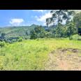  Tanah 5971m² Cocok Untuk Wisata View Kebun Teh Kemuning 