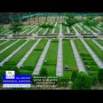 Kavling Makam Al-Azhar Memorial Garden Type ROYAL ZONE