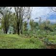 Tanah Idaman 7700m² Cocok Untuk Villa Karanganyar 