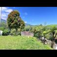  Tanah 5971m² Cocok Untuk Wisata View Kebun Teh Kemuning 