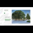 Dijual Rumah Baru 2 Lantai di  Perumahan Forest Cerme Gresik Tipe Evergreen Valley