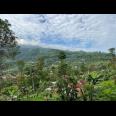 Tanah Idaman 7700m² Cocok Untuk Villa Karanganyar 