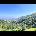  Tanah 5971m² Cocok Untuk Wisata View Kebun Teh Kemuning 