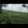 Dijual Tanah Strategis di Rejosari, Sukoharjo