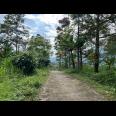 Tanah Idaman 7700m² Cocok Untuk Villa Karanganyar 