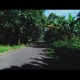 Tanah Strategis Tepi Jl Raya Kerjo-Sragen