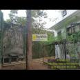 Rumah Cantik di Kota Jakarta Selatan Kawasan Menteng Dalam