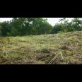 LAND FOR SALE NUSA TEGENUNGAN SUKAWATI