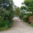 Jalan depan rumah