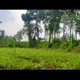 Tanah Siap Bangun Tirtomoyo dekat Kampus Binus Araya