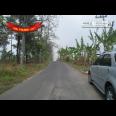 Jalan Raya Trawas Prigen Pasuruan - An Idyllic Location