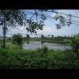 Tanah Komersial Rejosari, Lamongan | 0 Jalan Propinsi, Strategis.