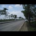 Tanah Komersial Rejosari, Lamongan | 0 Jalan Propinsi, Strategis.