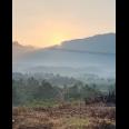 KAVLING MURAH PRODUKTIF PINGGIR JALAN TRANSYOGI KAVLING MURAH PRODUKTIF PINGGIR JALAN TRANSYOGI