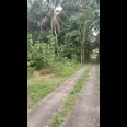 Dijual rumah di lokasi yg masih sejuk hijau & asri Griya Pambayun Sedayu