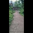 Di jual tanah sawah Kp.bayubud Ciwalen