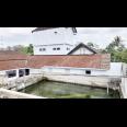 Jual Rumah Plus Usaha Burung Walet dan Budidaya Ikan di Gandusari Blitar Dekat Candi Kotes, Pasar Tugu 