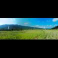 Jual Tanah Kavling Sawah Produktif View Pegunungan 250 m2 Hanya 99jt di Jonggol Bogor