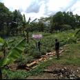 Jual Tanah Murah di Tenjo Bogor Dekat Kantor Desa Bojong dan Puskesmas Pasar Rebo Tenjo Bogor 