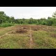 Jual Tanah Murah di Tenjo Bogor Dekat Kantor Desa Bojong dan Puskesmas Pasar Rebo Tenjo Bogor 