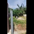 Rumah murah 2,5lt bonus kolam renang di kota Bekasi 