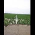 Dijual Tanah Sawah Murah 70.000 Per Meter Luas 8000 Meter di Pebayuran Bekasi 