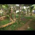 Dijual tanah Cileungsi Bogor