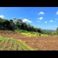 Tanah Kebun Durian Dekat Wisata Kemuning Karanganyar