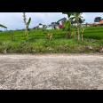 Tanah Cocok bangun Resto, Villa Karangpandan Karanganyar