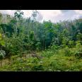Dijual Tanah Dekat Sungai Kerjo Karanganyar
