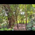 Tanah Dekat Sungai & Sawah Mojogedang Karanganyar