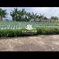 Tanah Datar Cocok Dibangun Villa Kemuning Karanganyar