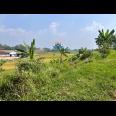 Tanah Strategis 1Jt/m Karangpandan Karanganyar