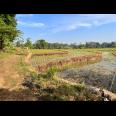 Dijual Sawah 125ribu/m Mojogedang Karanganyar