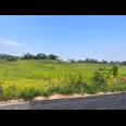 Dijual Tanah 1000m2 Datar Barat Pasar Karangpandan Karanganyar