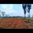 Jual Tanah Strategis 3937m2 Karanganyar 