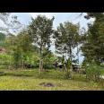 Dijual Kebun Durian Dekat Pasar Kemuning Karanganyar 