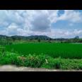 Tanah 2500m2 cocok dibangun villa Karangpandan Karanganyar