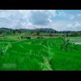Tanah 2500m2 cocok dibangun villa Karangpandan Karanganyar