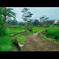 Dijual Tanah Dekat Agro Wisata Amanah Karangpandan