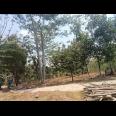 Tanah 900m2 hanya 150 Juta Ngargoyoso Karanganyar