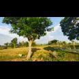 Dijual Tanah 2967m² Jln DPU Matesih Karanganyar