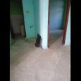 Rumah Siap Huni di Kebonsari Surabaya Selatan