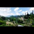 Dijual Villa Bagus di Puncak Cisarua, Kota Bogor
