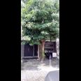 Dijual Rumah Minimalis di Kalikepiting Jaya, Surabaya