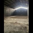 Disewakan Gudang di Raya Kauman Baru, Surabaya