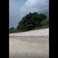 Dijual Tanah Pinggir Pantai di Bima, Sumbawa, NTB