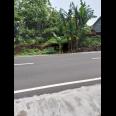 Tanah Strategis 223m Pinggir Jalan Raya Kedawung Sragen 